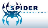 Spider logo gif